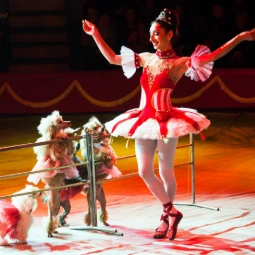 Girl Performer in a Circus